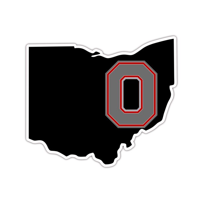 Ohio State Buckeyes - Black State - Iron On - Custom Size