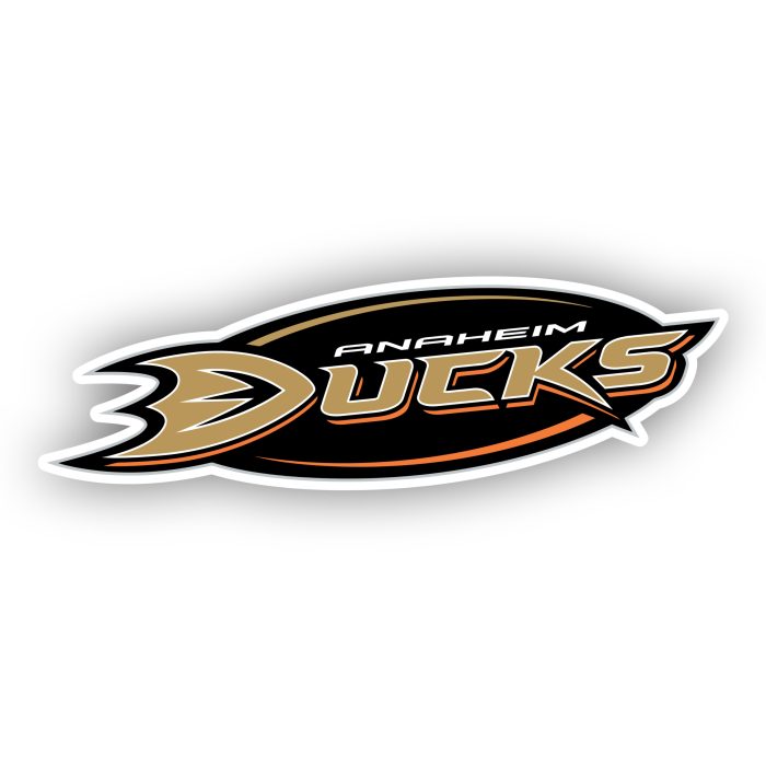 Anaheim Ducks - Name In Oval - Iron On - Custom Size