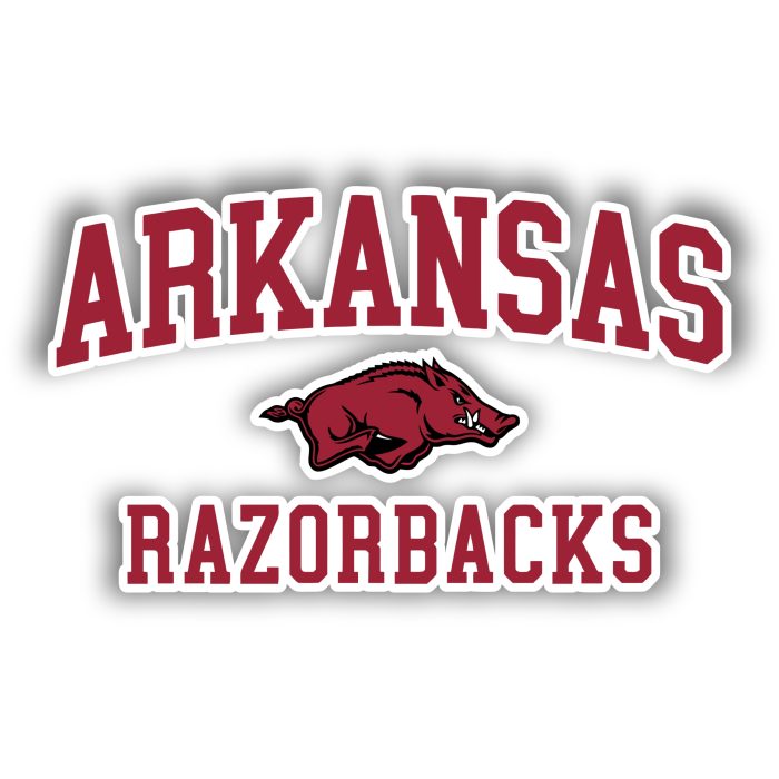 Arkansas Razorbacks - Name With Hog In The Middle - Temporary Tattoo