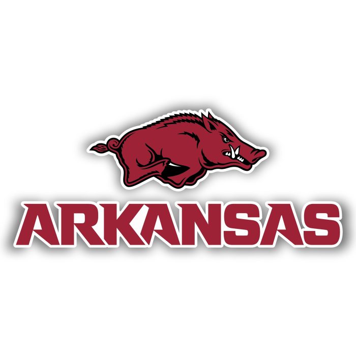 Arkansas Razorbacks - Red Hog With Name Below - Temporary Tattoo