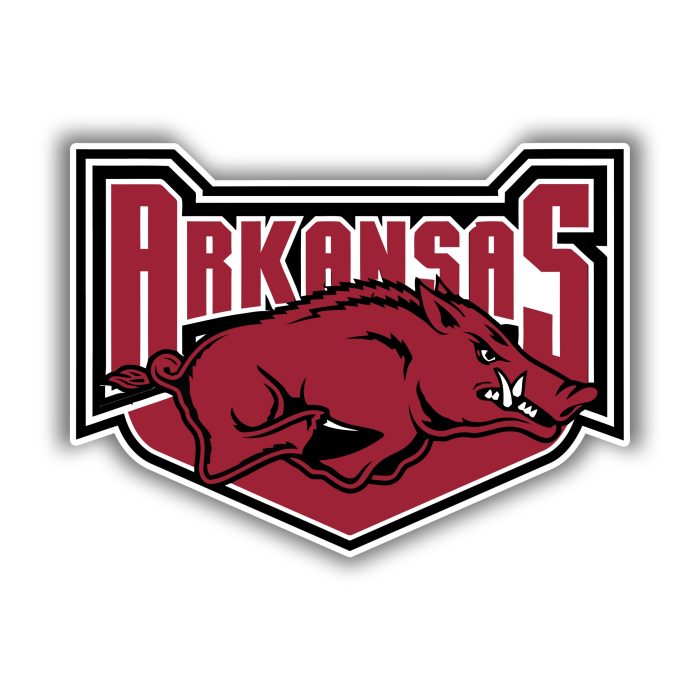 Arkansas Razorbacks - Iron On - Custom Size