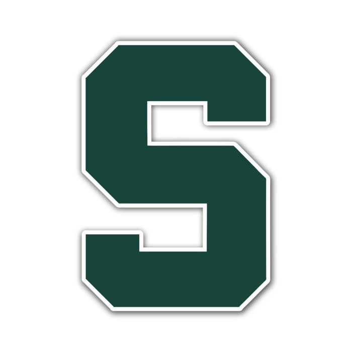 Michigan State Spartans - S  - Iron On - Custom Size