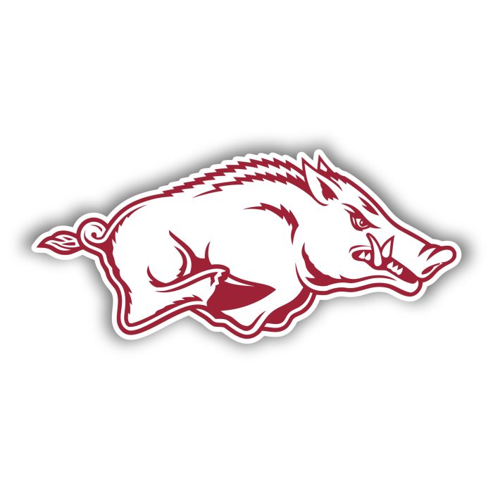 Arkansas Razorbacks - Iron On - Custom Size