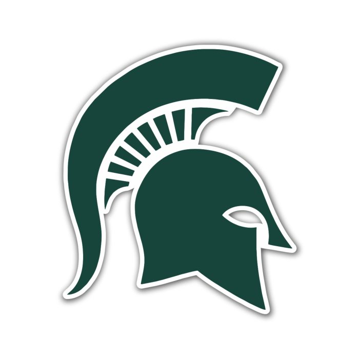 Michigan State Spartans - Logo Name  - Iron On - Custom Size