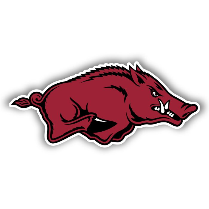 Arkansas Razorbacks - Iron On - Custom Size