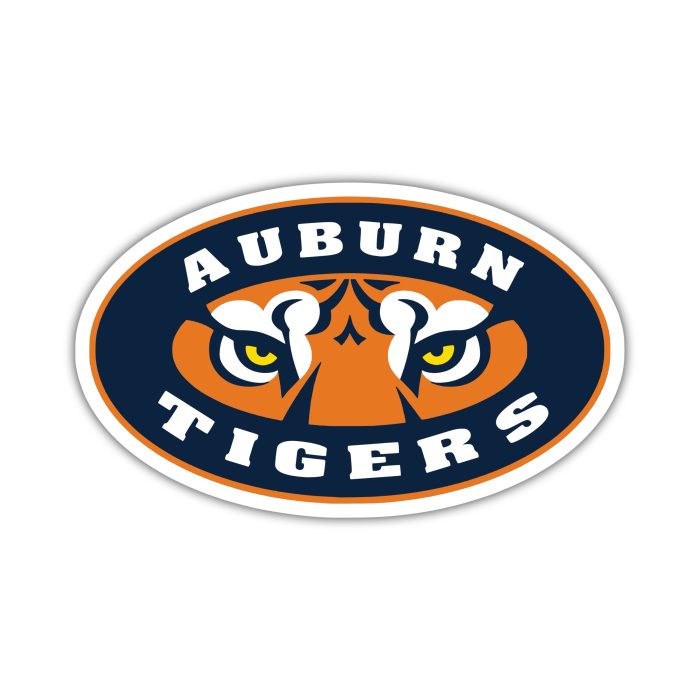 Auburn Tigers - Tigers Eyes with Name  - Iron On - Custom Size