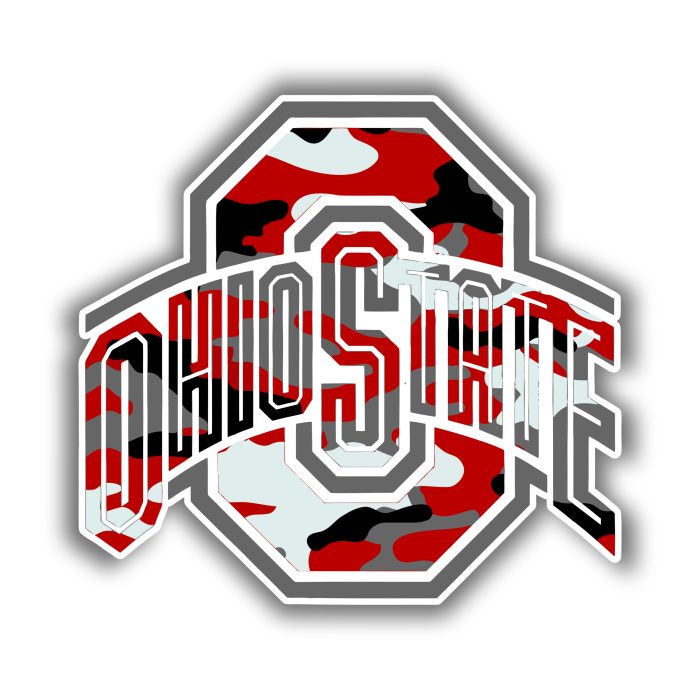 Ohio State Buckeyes - Camouflage - Iron On - Custom Size