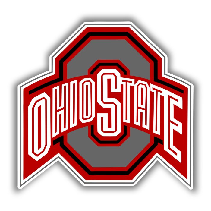 Ohio State Buckeyes - Gray and Red Ohio State - Iron On - Custom Size