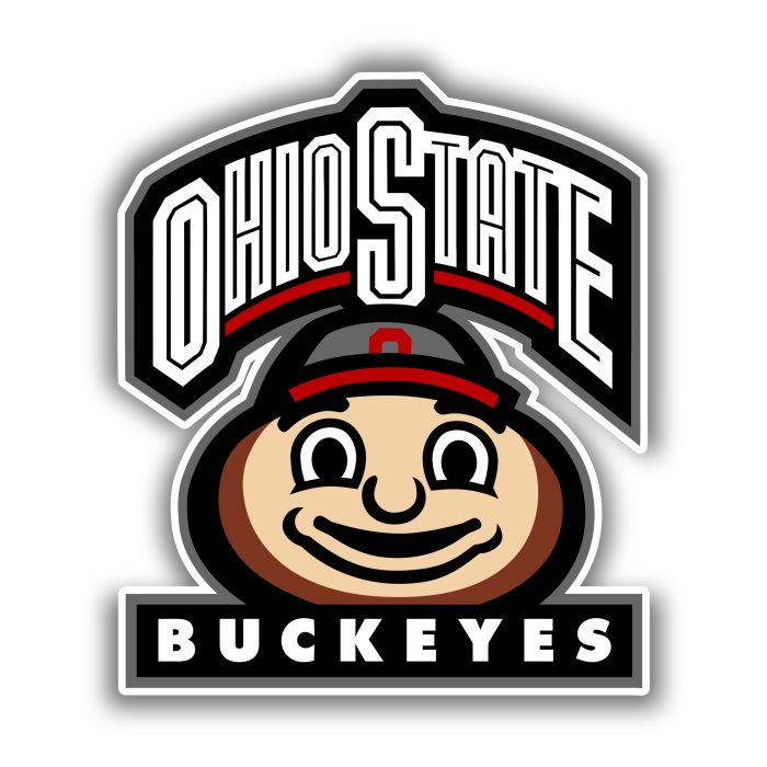 Ohio State Buckeyes - White Lettering with Mascot  - Iron On - Custom Size