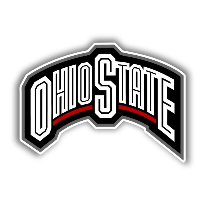 Ohio State Buckeyes - Ohio State Lettering  - Iron On - Custom Size