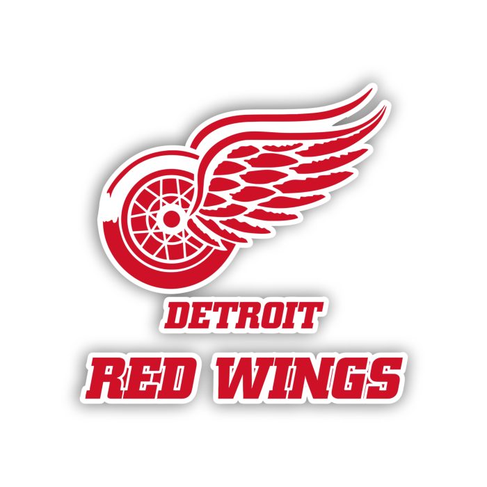 Detroit Red Wings - Logo with Name - Iron On - Custom Size