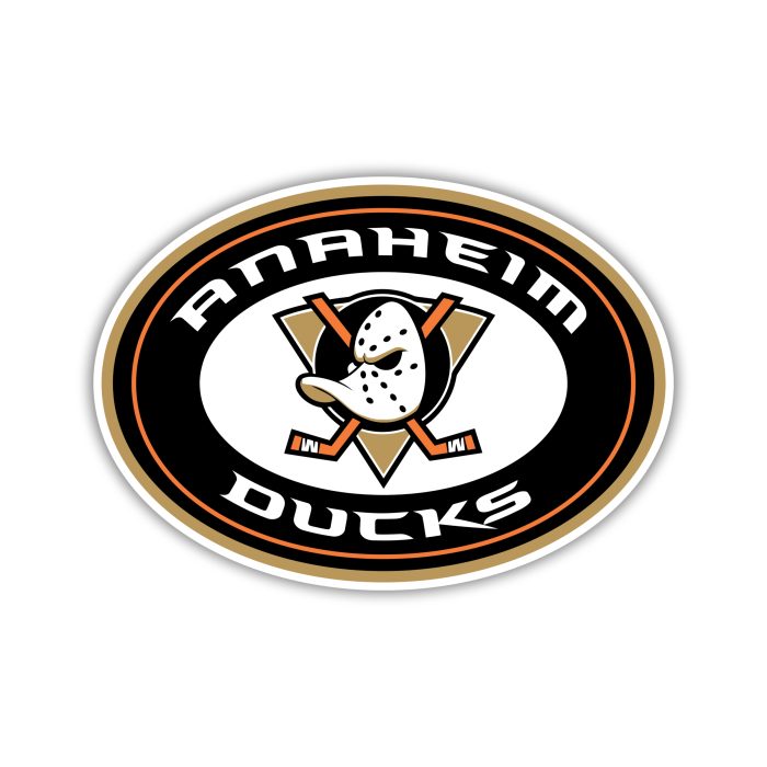 Anaheim Ducks - Oval With Name And Duck - Iron On - Custom Size