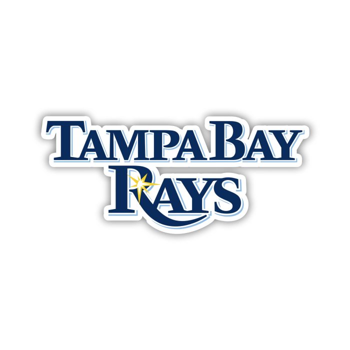 Tampa Bay Rays - Name - Iron On - Custom Size