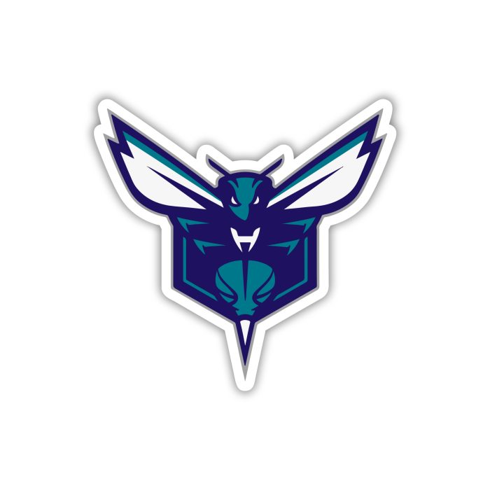 Charlotte Hornets - Iron On - Custom Size