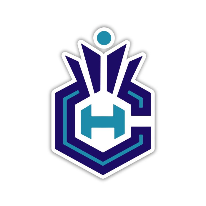 Charlotte Hornets - CH- Iron On - Custom Size