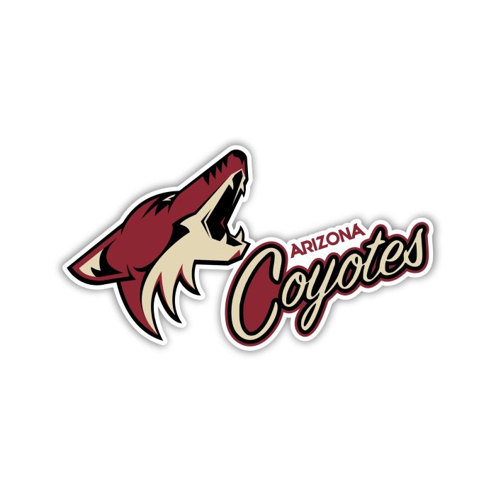 Arizona Coyotes - Name with Coyote - Iron On - Custom Size