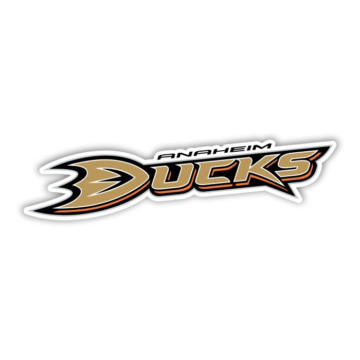 Anaheim Ducks - Name - Iron On - Custom Size