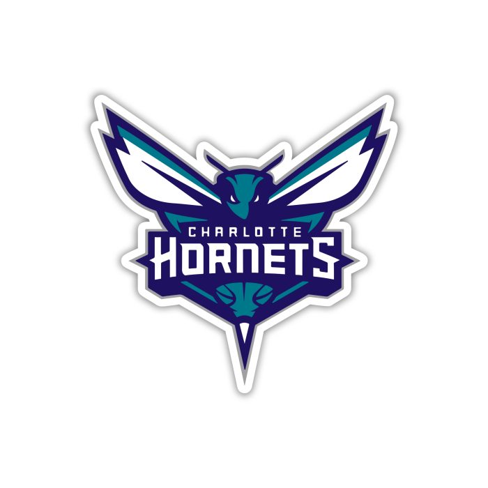 Charlotte Hornets - Hornet With Name -Iron On - Custom Size