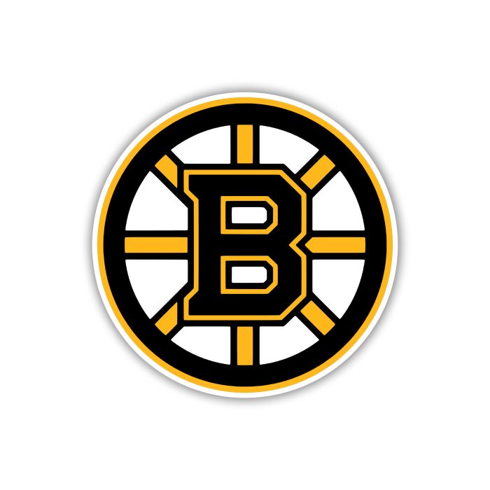 Boston Bruins - Circle With B - Iron On - Custom Size