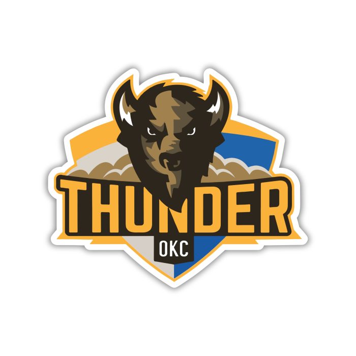 Oklahoma City Thunder - Bison With Name Below - Iron On - Custom Size