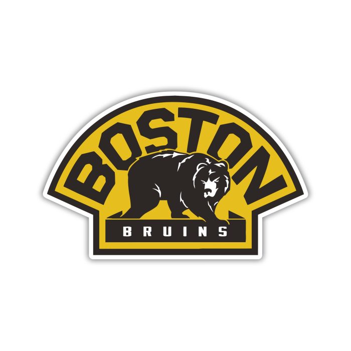 Boston Bruins - Bear - Iron On - Custom Size