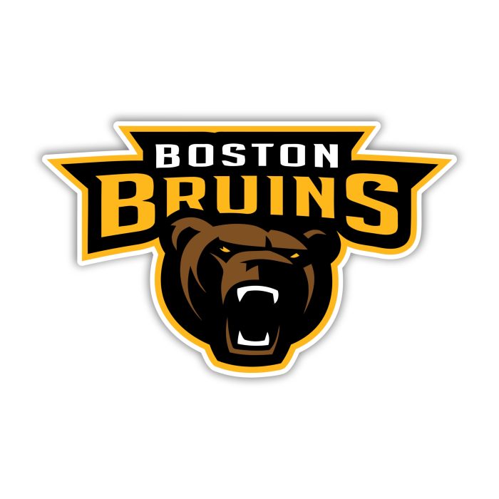 Boston Bruins - Name With Bear - Iron On - Custom Size