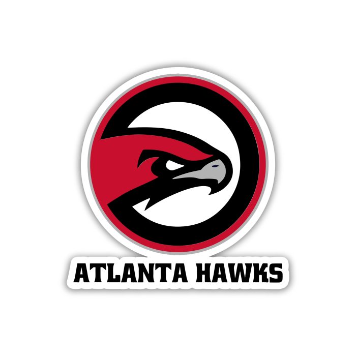 Atlanta Hawks - Red Circle With Hawk  - Iron On - Custom Size