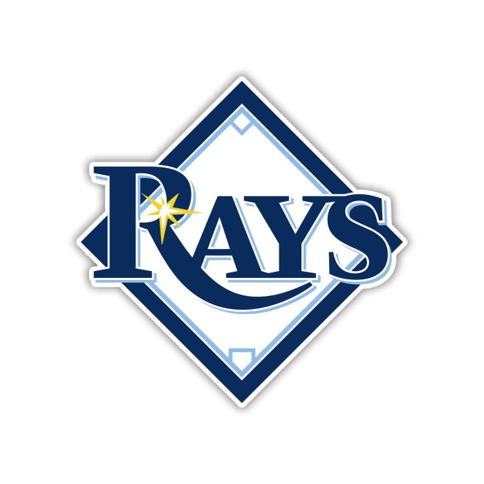 Tampa Bay Rays - Plate with Rays - Iron On - Custom Size