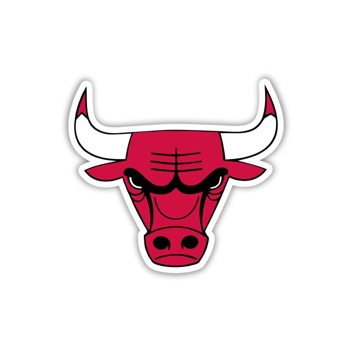 Chicago Bulls - Bull Head - Iron On - Custom Size