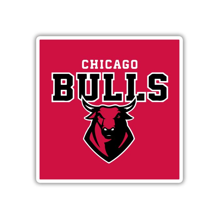 Chicago Bulls - Red Square With Bull And Name  - Iron On - Custom Size