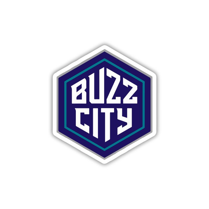 Charlotte Hornets - Buzz City - Iron On - Custom Size