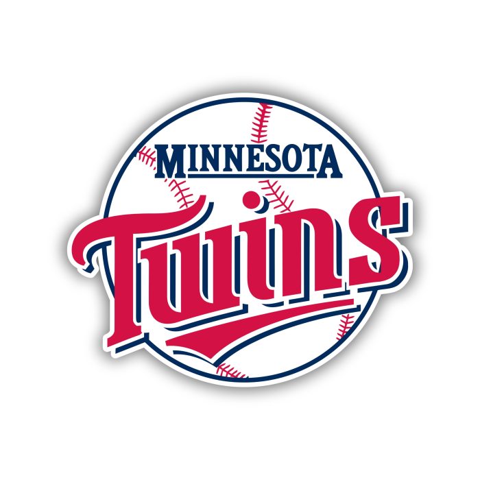 Minnesota Twins - Baseball with Name - Iron On - Custom Size