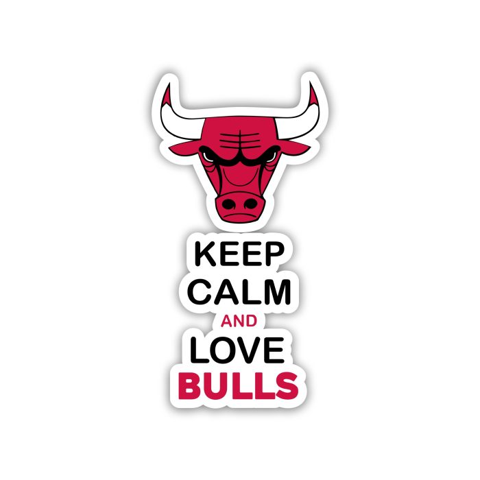 Chicago Bulls - Keep Calm And Love Bulls - Iron On - Custom Size