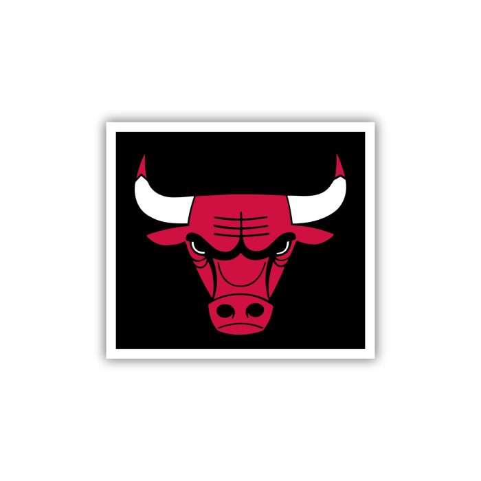 Chicago Bulls - Black Square With Bull Head - Iron On - Custom Size