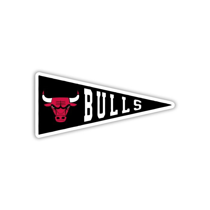 Chicago Bulls - Pennant - Iron On - Custom Size