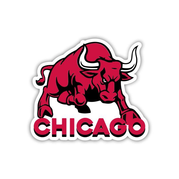 Chicago Bulls - Bull With Chicago- Iron On - Custom Size