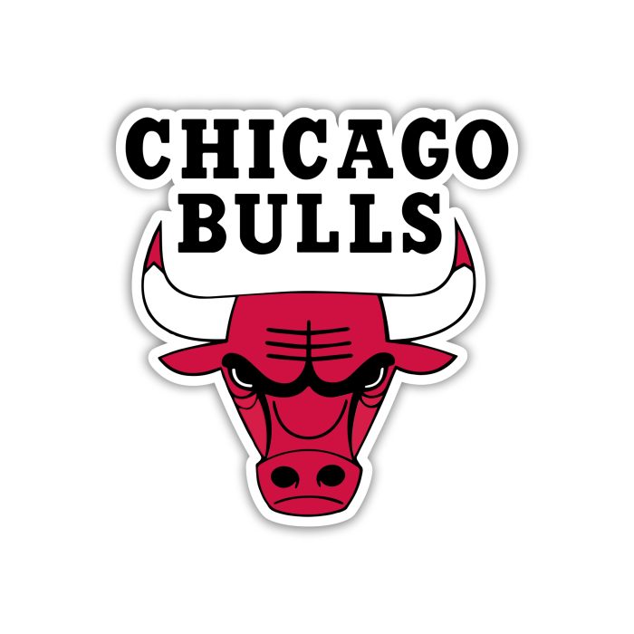 Chicago Bulls - Bull Head With Name - Iron On - Custom Size