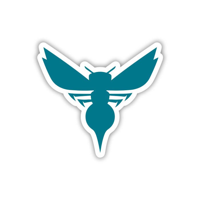 Charlotte Hornets - Iron On - Custom Size