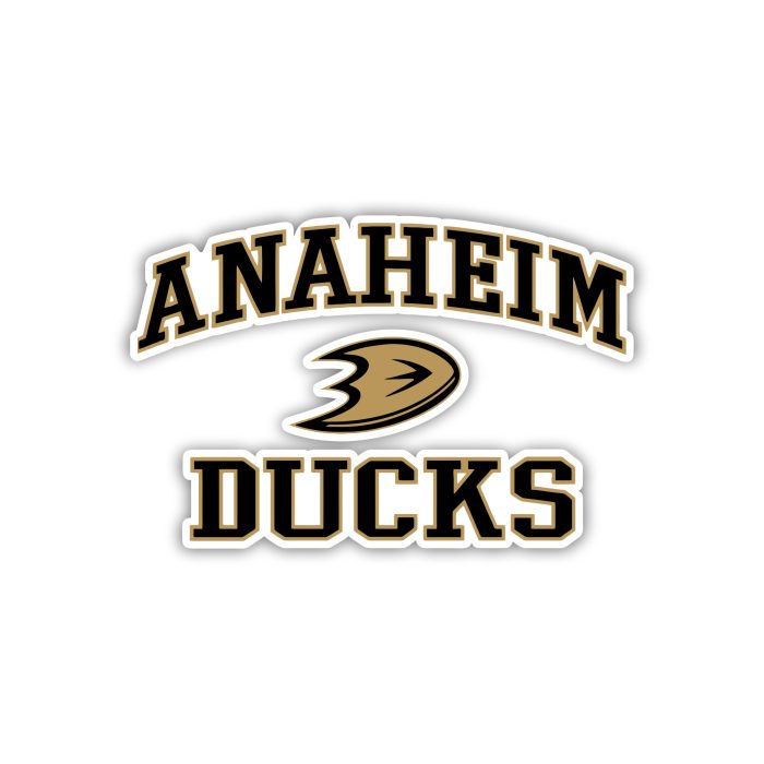 Anaheim Ducks - D With Name - Iron On - Custom Size