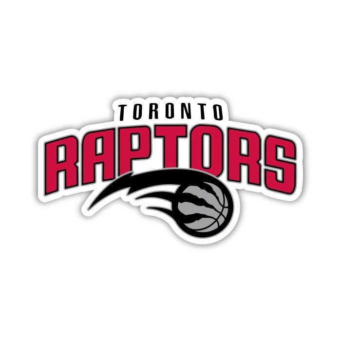 Toronto Raptors - Name With Gray Basketball  - Iron On - Custom Size