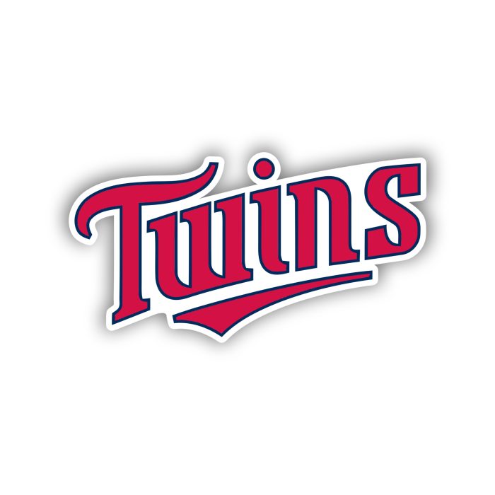 Minnesota Twins - Twins Cursive - Iron On - Custom Size