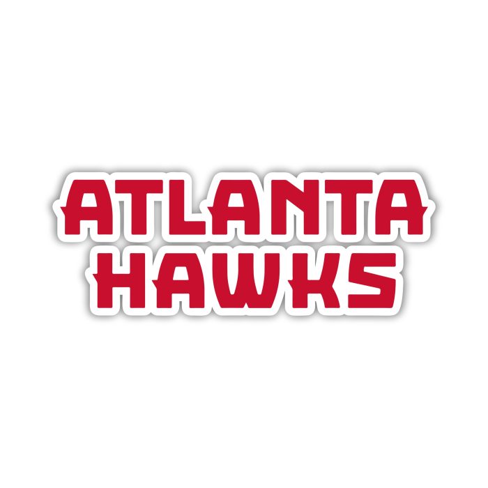 Atlanta Hawks - Name  - Iron On - Custom Size