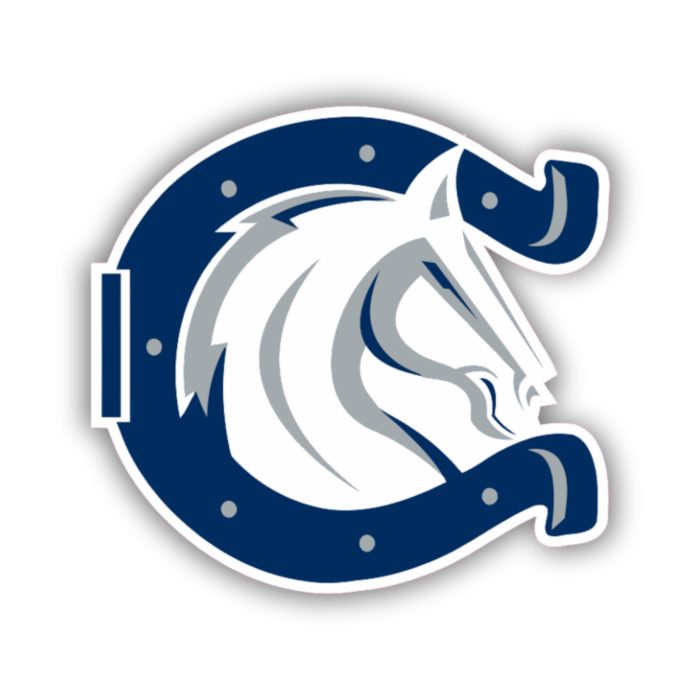 Indianapolis Colts Full Color Vinyl Sticker - Custom Size