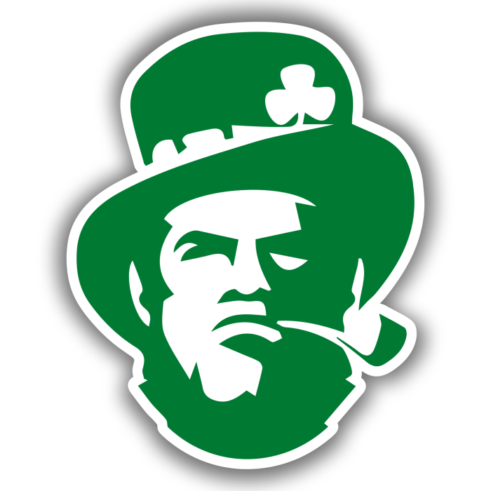 Boston Celtics - Leprechaun - Full Color Vinyl Sticker - Custom Size