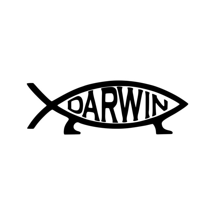 Darwin Vinyl Decal - Custom Size