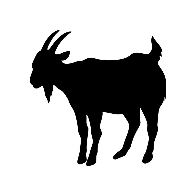 Goat - Vinyl Decal - Custom Size
