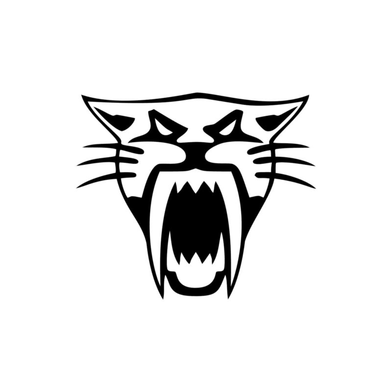 Artic Cat - Vinyl Decal - Custom Size