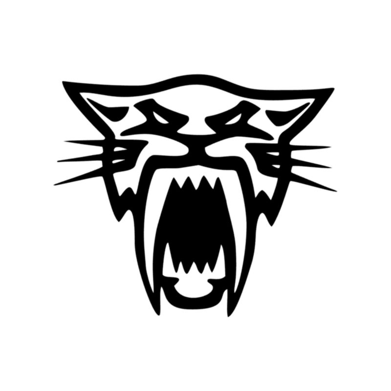 Artic Cat - Vinyl Decal - Custom Size