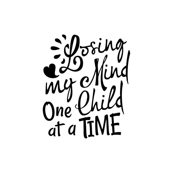 Losing my Mind One Child at a Time - Vinyl Decal - Custom Size