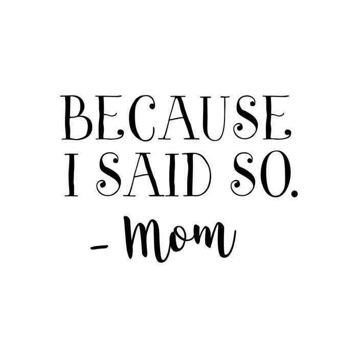 Because I Said So - Vinyl Decal